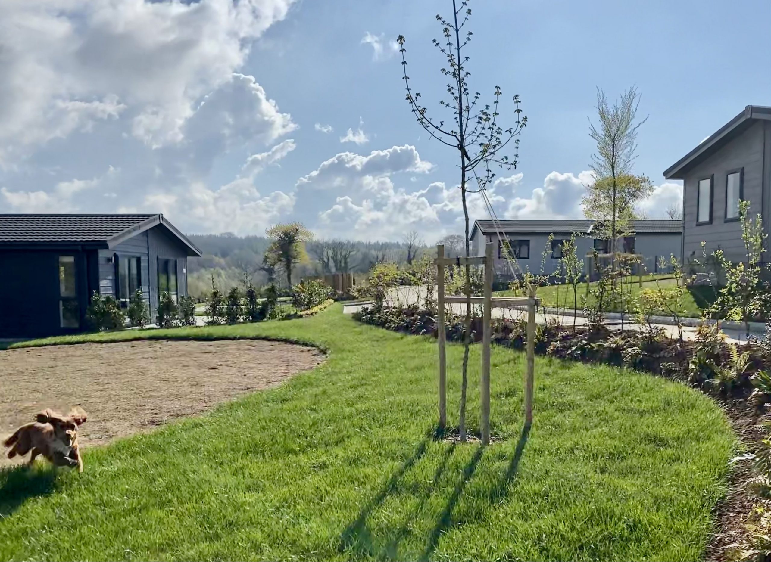 roadford lake lodge park