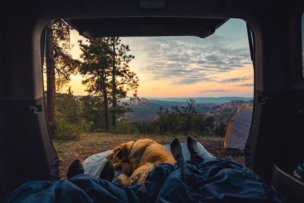 wood cabin outlook
