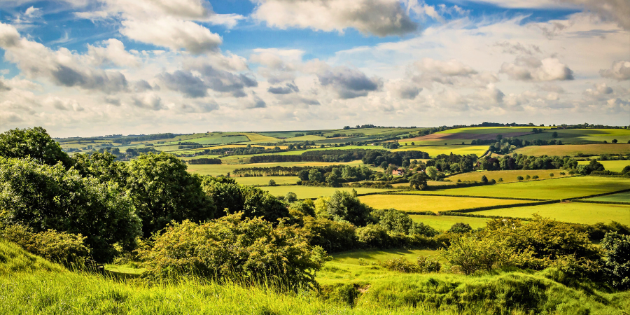 lincolnshire wolds