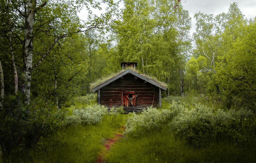 cabin for sale uk