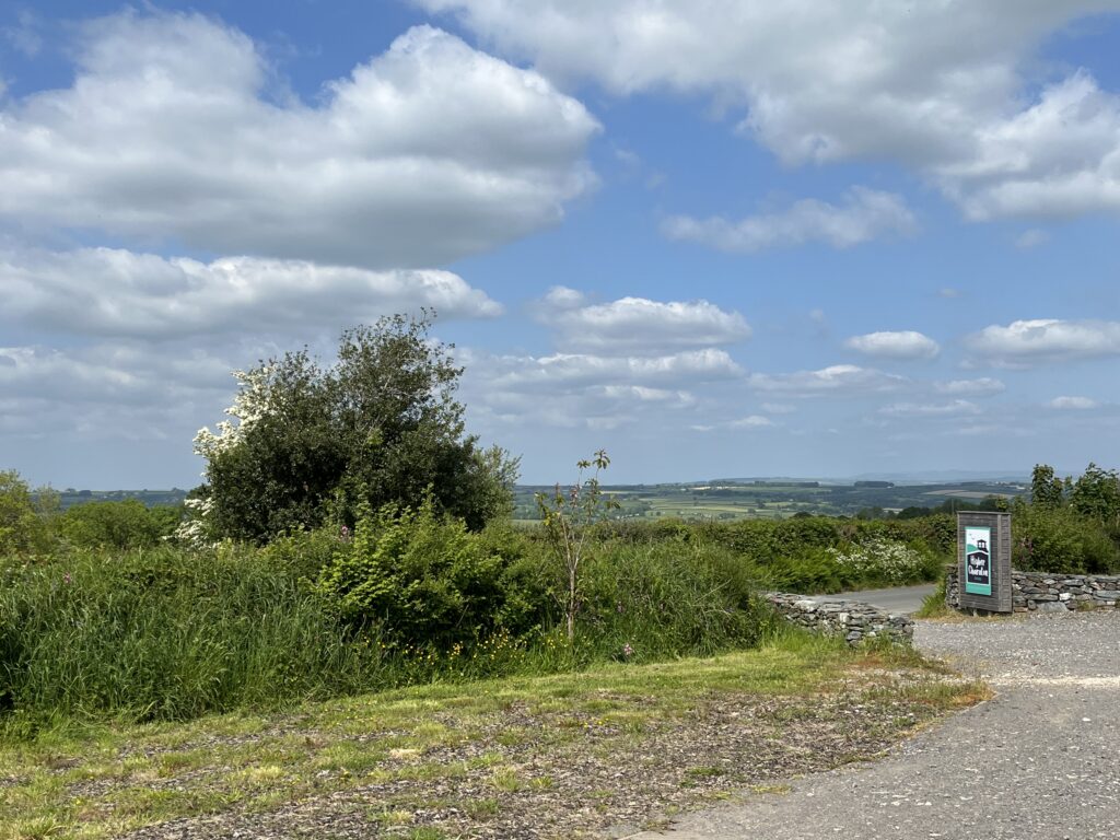 freehold land for sale
