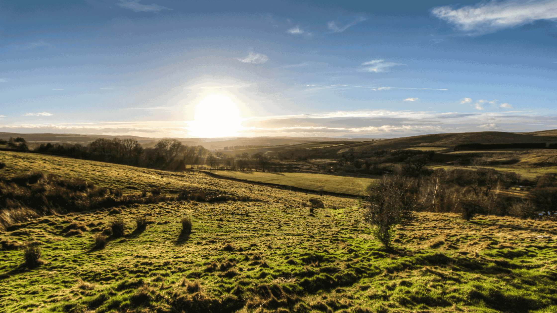 Lodges for Sale in Otterburn