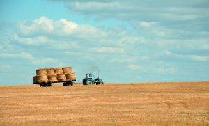 clarksons farm season 5