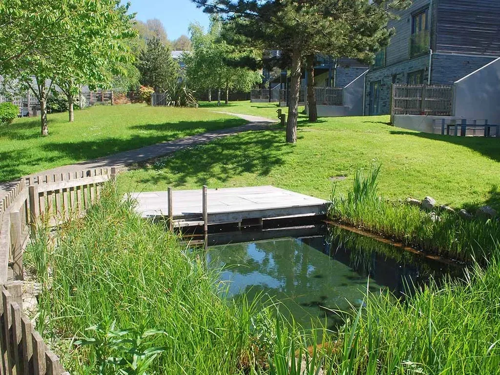 Exterior of an eco lodge for sale with timber cladding and decking