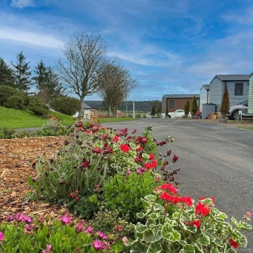 static caravan for sale eyemouth