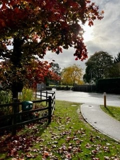 autumn